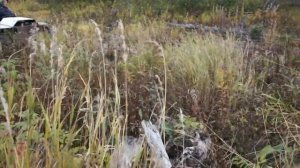 Ищем место для избушки (Зимовья). Будем строить новую избушку.