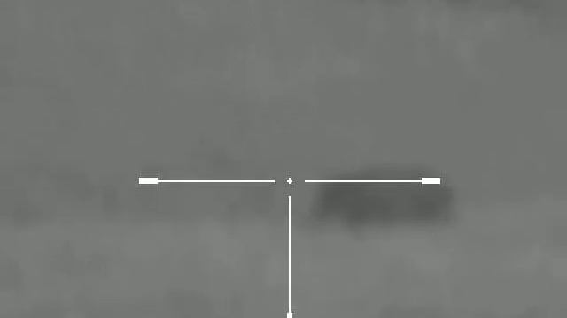 Охота на кабана с вышки смотреть онлайн