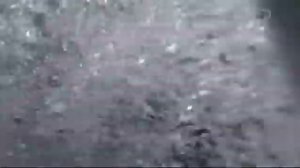 Ловля Монстра. Палтус