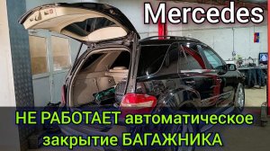 Mercedes ML320 W164 не работает автоматическое закрытие двери багажника. В блоке двери висит ошибка.