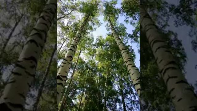 Дети Святого духа !!! смотреть онлайн