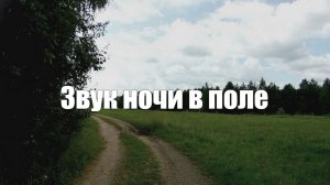 Звук ночи в поле