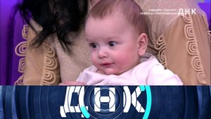 «ДНК»: «Альфонс „сделал“ ребенка стриптизерше?»