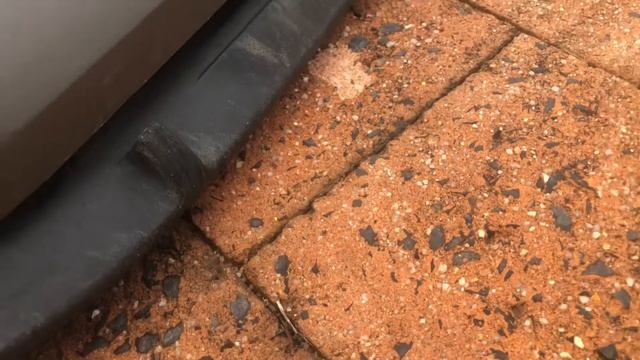 Ninebot gokart pro clocked over 400km, what to expect смотреть онлайн