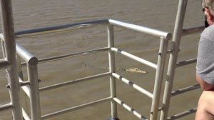 Порт города Дарвин (Австралия) 10 сентября 2019 год.