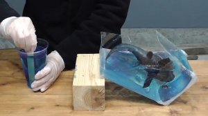 Big size resin art aquarium! A huge ancient fish DUNKLEOSTEUS【ダンクルオステウス/dinosaur/Creature】