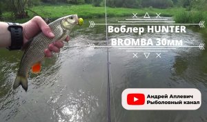 Ловля голавля на жука HUNTER BROMBA 30мм.