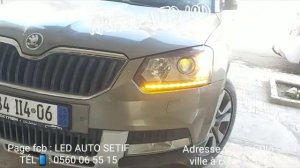 Skoda Yeti   Led dynamique 3d germany