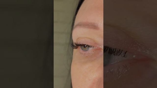 Изгиб М белка 7-11мм смотреть онлайн