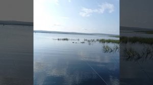 озеро Тасей!