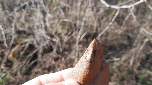 Потрясающая находка!