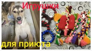 Игрушки для собак своими руками (1).mp4
