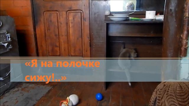 🦊 #4 Лисёнок в доме. Развитие навыков