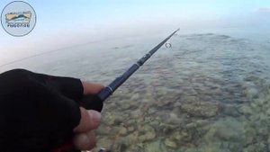 РЫБАЛКА НА МАЛЬДИВАХ С БЕРЕГА  часть 1