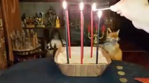 АБРАКАДАБРА... ХОЧУ МНОГО ДЕНЕГ... ДЛЯ ВСЕХ... ВЕДЬМИНА ИЗБА
