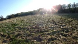 Поход в лес с ночевкой. Индивидуальный рацион питания . Экшн камера Olympus tg tracker