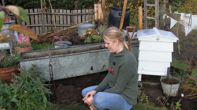 Lavender and Leeks - November 2018 - Planting Spring Bulbs, Mulching and overwintering Dahlias смотреть онлайн