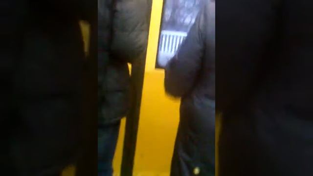Перегон между Партизанской и Измайловской