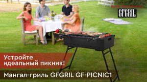 Мангал - гриль GFGRIL GF-PICNIC1