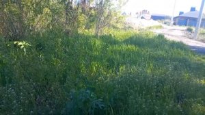 Охрана рек и застройка берегов