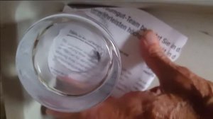 Паук в холодильнике Животные, животный мир, Аnimals,Tiere