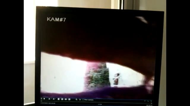 ремонт камеры. рука осьминога смотреть онлайн