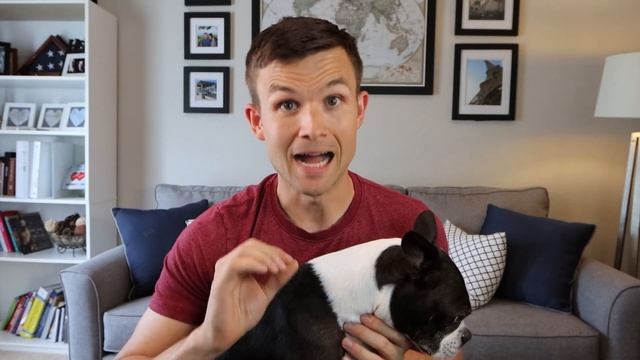 5 Real Reasons NOT To Get A Boston Terrier смотреть онлайн