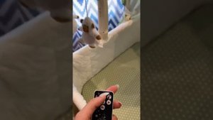 Babyton колыбель люлька