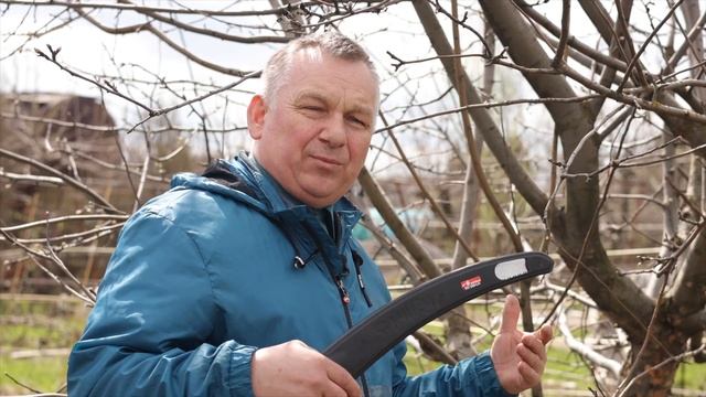 Перепрививка: Что нужно знать о том, как привить старое дерево?