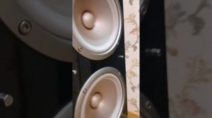 YAMAHA NS-555