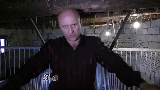 революция в сельском хозяйстве  № 1.Обучение онлайн.Заработок на свиньях