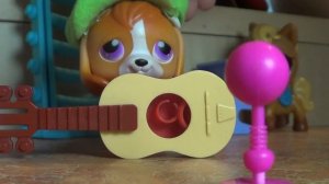 LPS: Голос (2 тур)