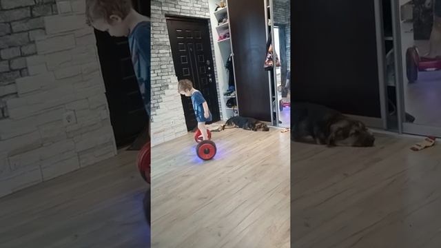 Гироскутер и сын смотреть онлайн