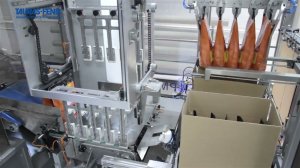 Формирование коробок и укладка в них продукции на роботизированном моноблоке SPM