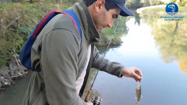 Голавль Абхазской реки. Ловля на спиннинг. смотреть онлайн