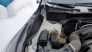 Газовые упоры капота SUBARU FORESTR.