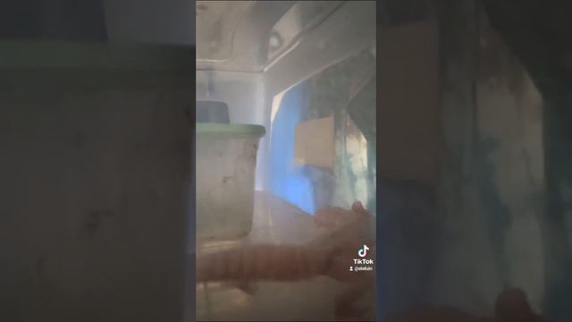 Новости по Зефирке на 28 февраля 2024г. смотреть онлайн