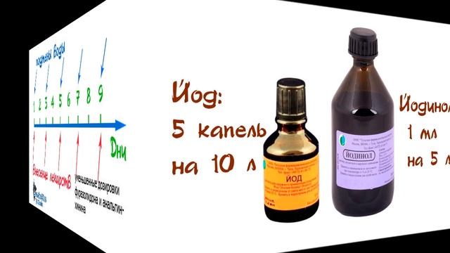 Как лечить манку ( ихтиофтириоз ): два надёжных метода лечения, подробно с дозировками лекарств смотреть онлайн