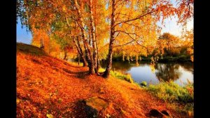 ??? Я пришлю тебе осень в обычном почтовом конверте ???