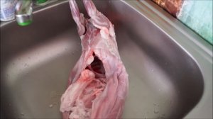 Сколько весит тушка  6 месячного кролика.