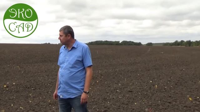 Разметка сада.