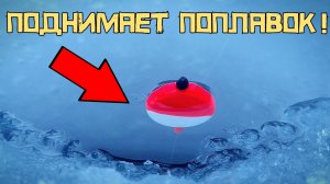 СХВАТИЛО РЕАЛЬНОЕ НЕЧТО!!! ОНО подняло ТАБЛЕТКУ! Зимний поплавок УДИВЛЯЕТ!