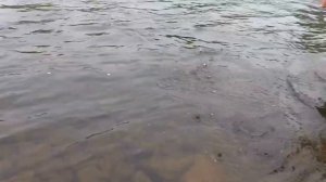 Рыбалка в Бурятии