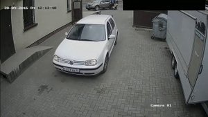 Автомобилистка сбивает собаку в Советске