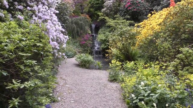 Garden tour around the fabulous Dorothy Clive Rhododendron garden. смотреть онлайн