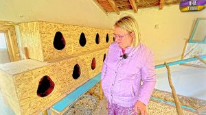 Есть ли яйца в новых гнёздах? Ягодка беременна? Улучшения на ферме! Сажаем растения. Крымский хутор