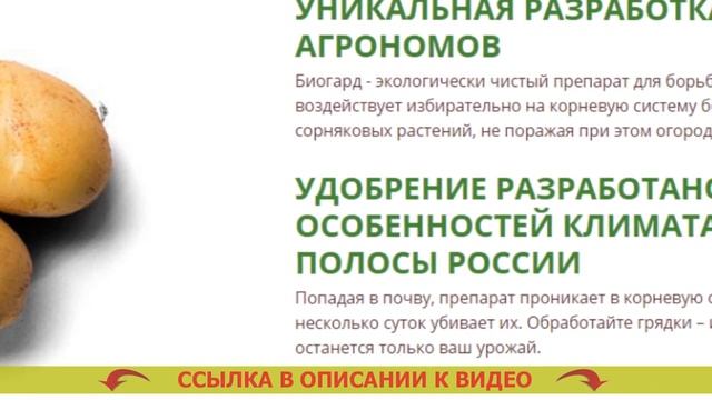 Средство от сорняков екатеринбург смотреть онлайн