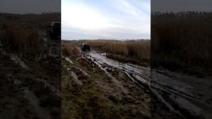 разливы калауса