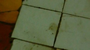 Покраска переходом. Кузовные работы! Шпатлевание! Рихтовка споттером!