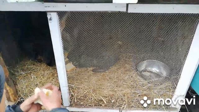 10 дней не была на Дачи ?. Погодка хорошая стоит тёплая ?. смотреть онлайн